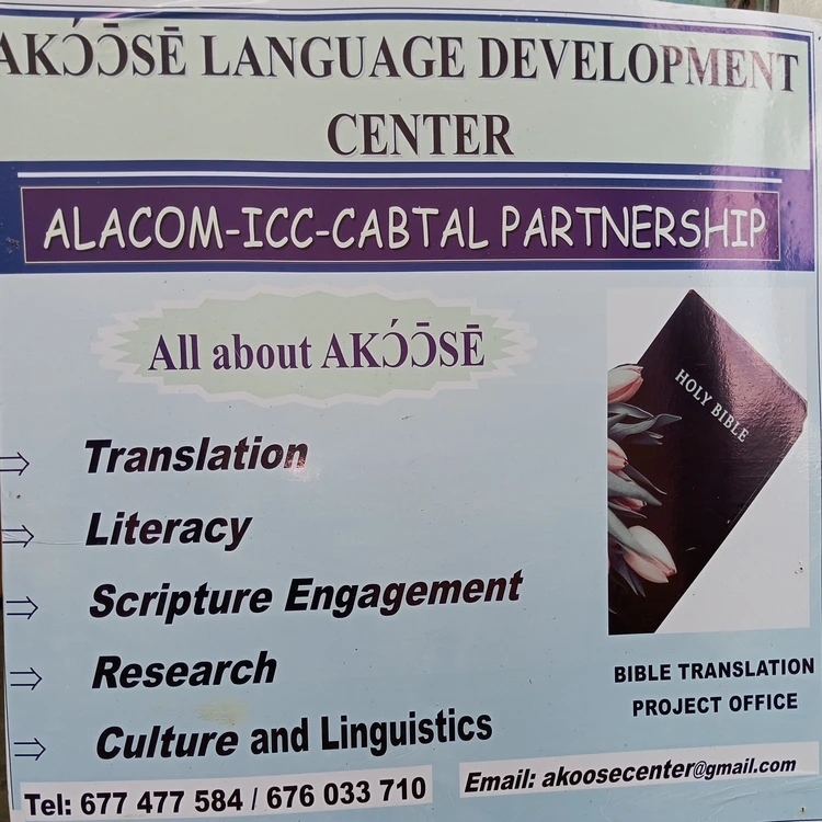 The history of Bible translation